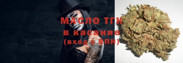 гашик Весьегонск