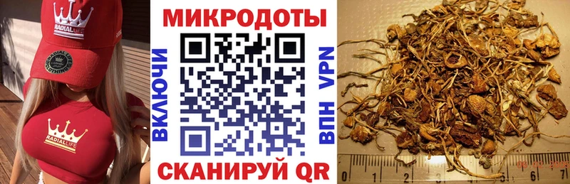 hydra зеркало  Благодарный  Псилоцибиновые грибы MAGIC MUSHROOMS 