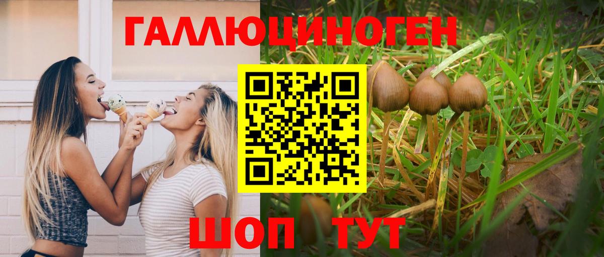 Псилоцибиновые грибы MAGIC MUSHROOMS  Вход с VPN  Псилоцибиновые грибы мухоморы  Благодарный 