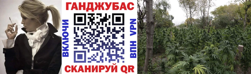 Канабис THC 21%  где найти   Благодарный 
